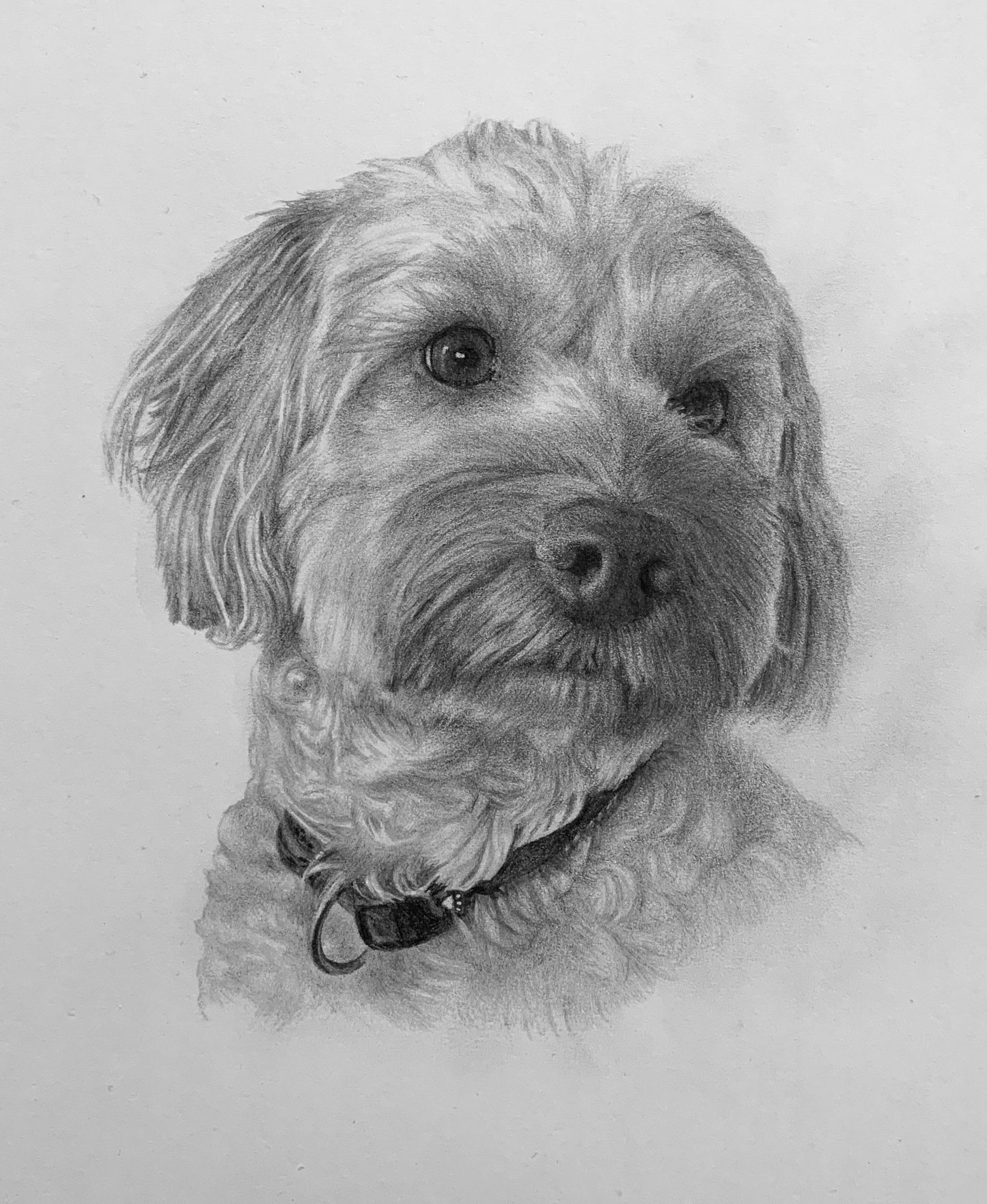 Custom Portrait Painting | Sketches