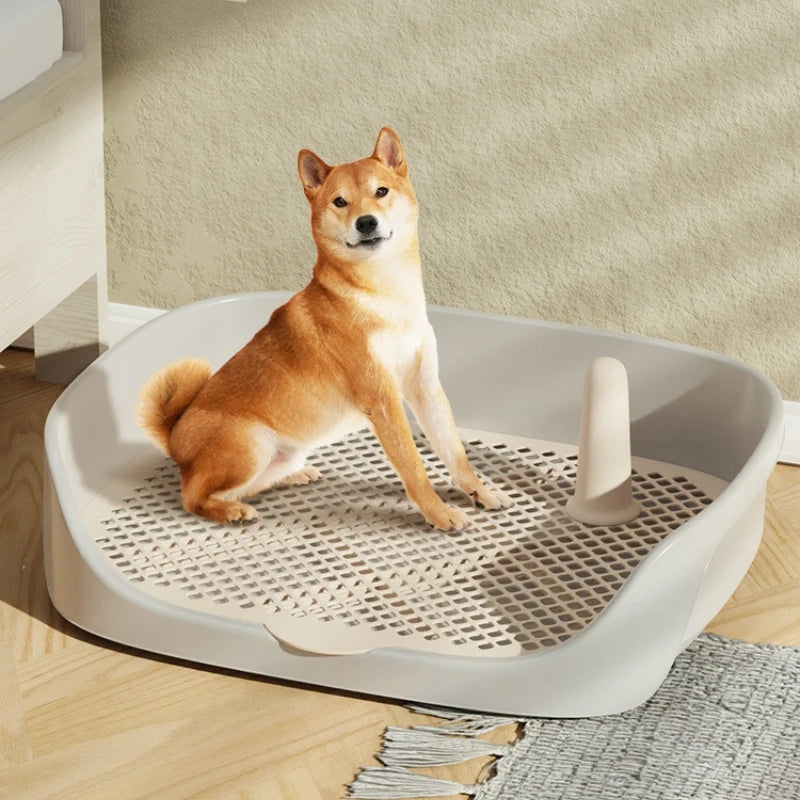 image0