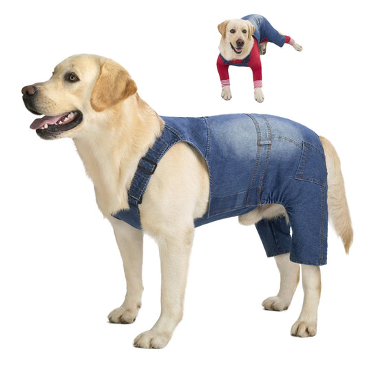 image0